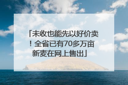 未收也能先以好价卖！全省已有70多万亩新麦在网上售出