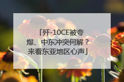 歼-10CE被夸爆、中东冲突何解？来看东亚地区心声