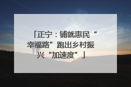 正宁：铺就惠民“幸福路”跑出乡村振兴“加速度”