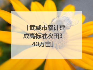 武威市累计建成高标准农田340万亩