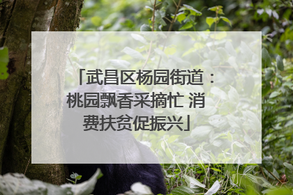 武昌区杨园街道：桃园飘香采摘忙 消费扶贫促振兴