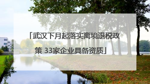武汉下月起落实离境退税政策 33家企业具备资质