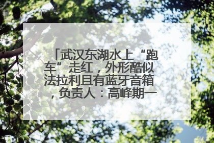 武汉东湖水上“跑车”走红，外形酷似法拉利且有蓝牙音箱，负责人：高峰期一两百人排队