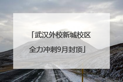武汉外校新城校区全力冲刺9月封顶