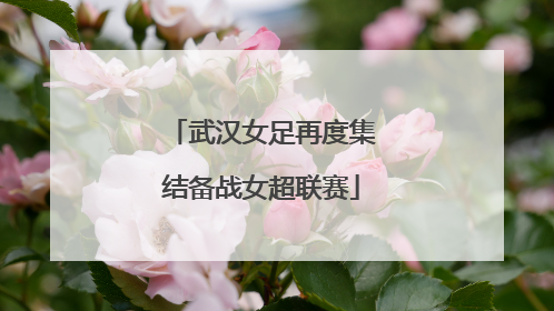 武汉女足再度集结备战女超联赛
