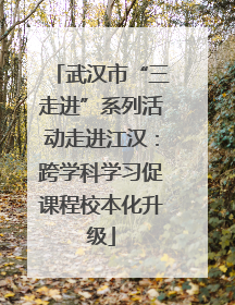 武汉市“三走进”系列活动走进江汉：跨学科学习促课程校本化升级
