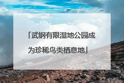 武钢有限湿地公园成为珍稀鸟类栖息地