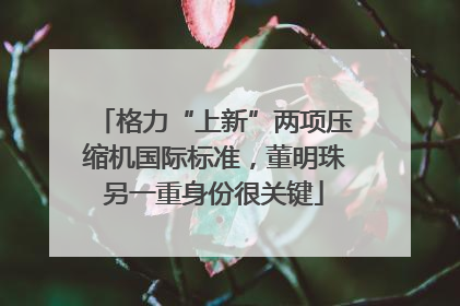 格力“上新”两项压缩机国际标准，董明珠另一重身份很关键