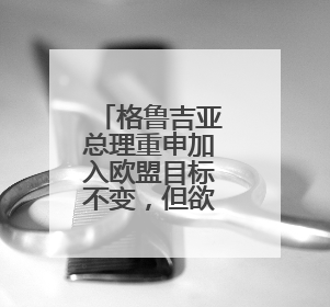 格鲁吉亚总理重申加入欧盟目标不变，但欲先重塑与欧关系