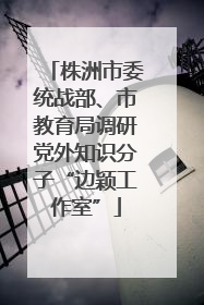 株洲市委统战部、市教育局调研党外知识分子“边颖工作室”