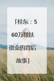 桂东：560万帮扶资金的背后故事