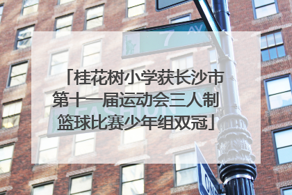桂花树小学获长沙市第十一届运动会三人制篮球比赛少年组双冠