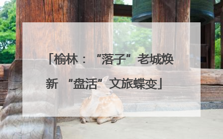 榆林：“落子”老城焕新 “盘活”文旅蝶变