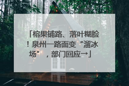 榕果铺路、落叶糊脸！泉州一路面变“溜冰场”，部门回应→