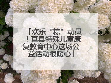 欢乐“粽”动员！莒县特殊儿童康复教育中心这场公益活动很暖心