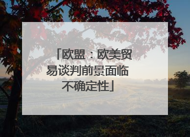 欧盟：欧美贸易谈判前景面临不确定性