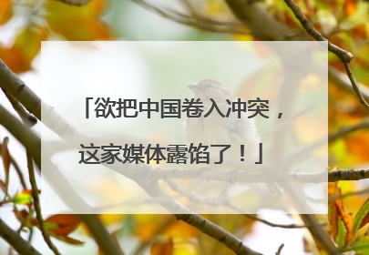 欲把中国卷入冲突，这家媒体露馅了！
