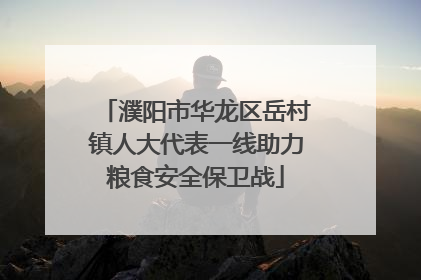 濮阳市华龙区岳村镇人大代表一线助力粮食安全保卫战