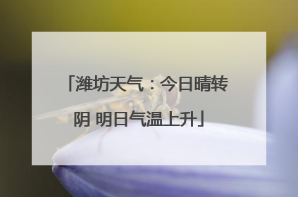 潍坊天气：今日晴转阴 明日气温上升