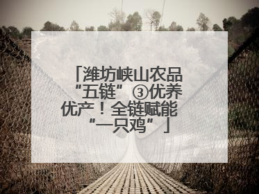 潍坊峡山农品“五链”③优养优产！全链赋能“一只鸡”