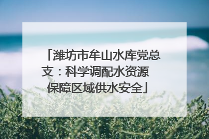 潍坊市牟山水库党总支：科学调配水资源 保障区域供水安全