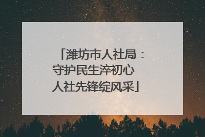 潍坊市人社局：守护民生淬初心 人社先锋绽风采
