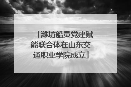 潍坊船员党建赋能联合体在山东交通职业学院成立