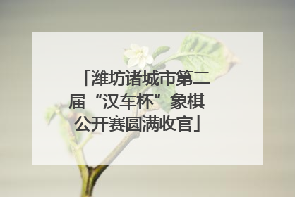潍坊诸城市第二届“汉车杯”象棋公开赛圆满收官