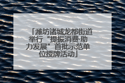 潍坊诸城龙都街道举行“提振消费·助力发展”首批示范单位授牌活动