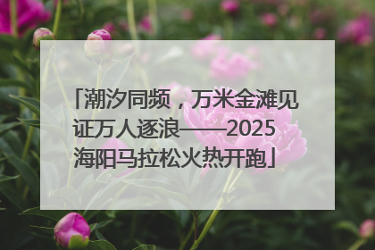 潮汐同频，万米金滩见证万人逐浪——2025海阳马拉松火热开跑