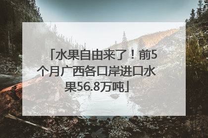 水果自由来了！前5个月广西各口岸进口水果56.8万吨