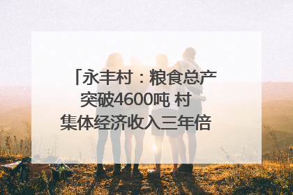 永丰村：粮食总产突破4600吨 村集体经济收入三年倍增｜牵挂的村