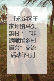 永定区王家坪镇马头溪村：“非遗赋能乡村振兴”交流活动举行