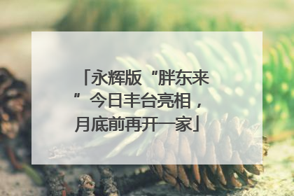 永辉版“胖东来”今日丰台亮相，月底前再开一家