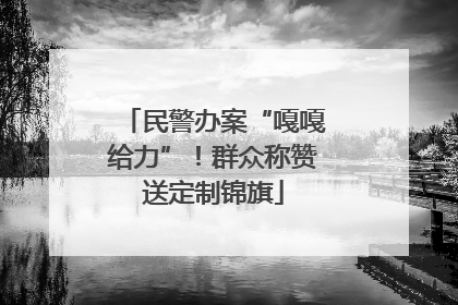 民警办案“嘎嘎给力”！群众称赞送定制锦旗