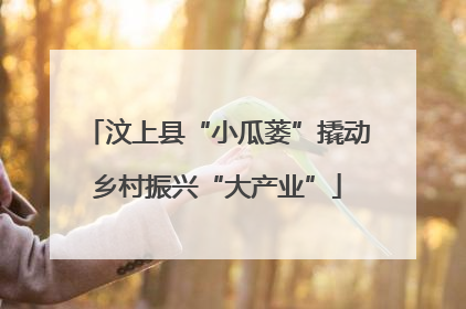 汶上县“小瓜蒌”撬动乡村振兴“大产业”