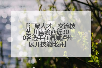 汇聚人才、交流技艺 川南渝西近300名选手在酒城泸州展开技能比拼