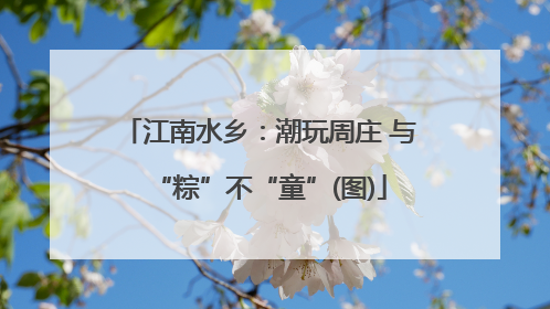 江南水乡：潮玩周庄 与“粽”不“童”(图)