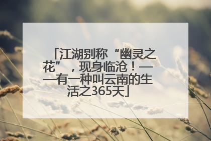 江湖别称“幽灵之花”，现身临沧！——有一种叫云南的生活之365天