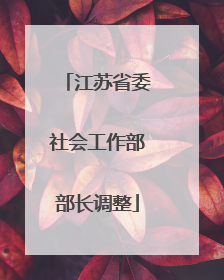 江苏省委社会工作部部长调整