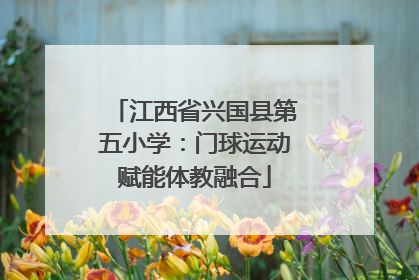 江西省兴国县第五小学：门球运动赋能体教融合