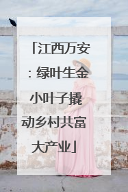 江西万安：绿叶生金 小叶子撬动乡村共富大产业