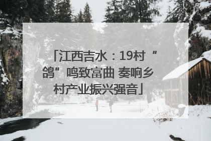 江西吉水：19村“鸽”鸣致富曲 奏响乡村产业振兴强音