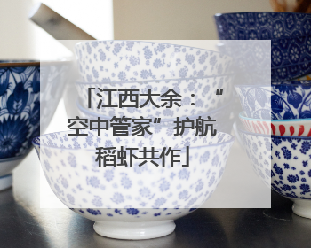 江西大余：“空中管家”护航稻虾共作