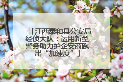 江西泰和县公安局经侦大队：运用新型警务助力护企安商跑出“加速度”
