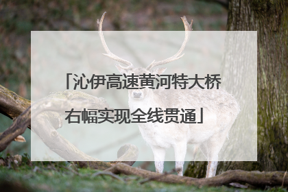 沁伊高速黄河特大桥右幅实现全线贯通