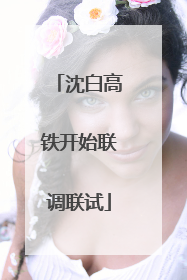 沈白高铁开始联调联试