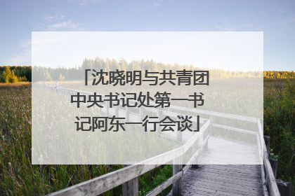 沈晓明与共青团中央书记处第一书记阿东一行会谈