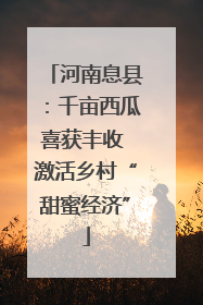 河南息县：千亩西瓜喜获丰收 激活乡村“甜蜜经济”