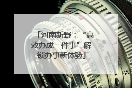 河南新野：“高效办成一件事”解锁办事新体验